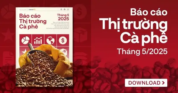 [Báo cáo] Thị trường cà phê tháng 5/2025: Giá cà phê vẫn xu hướng giảm dù xuất khẩu kỷ lục