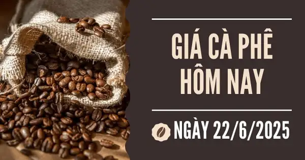Giá cà phê hôm nay 22/6: Giảm sốc 15% trong một tuần, thị trường nội địa mất mốc 100.000 đồng/kg
