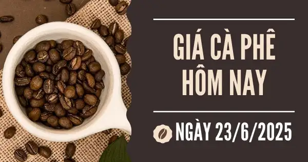Giá cà phê hôm nay 23/6: Đà giảm giá có thể vẫn chưa dừng lại?
