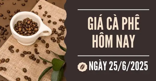 Giá cà phê hôm nay 25/6: Quay đầu giảm mạnh khi rủi ro sương giá tại Brazil được loại trừ