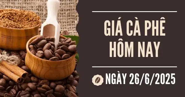 Giá cà phê hôm nay 26/6: Liên tục giảm, robusta chạm đáy 13 tháng rưỡi