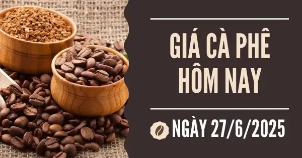 Giá cà phê hôm nay 27/6: Robusta tăng mạnh 4% khi giới đầu tư đẩy mạnh mua vào