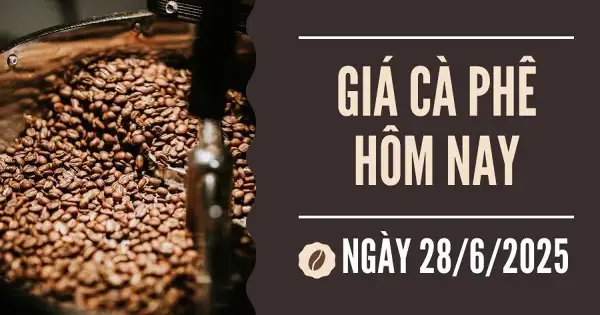 Giá cà phê hôm nay 28/6: Ngược chiều thế giới, giá cà phê trong nước tăng ngày thứ hai liên tiếp