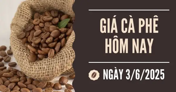 Giá cà phê hôm nay 3/6: Robusta tiếp tục lao dốc, arabica tăng nhẹ trở lại