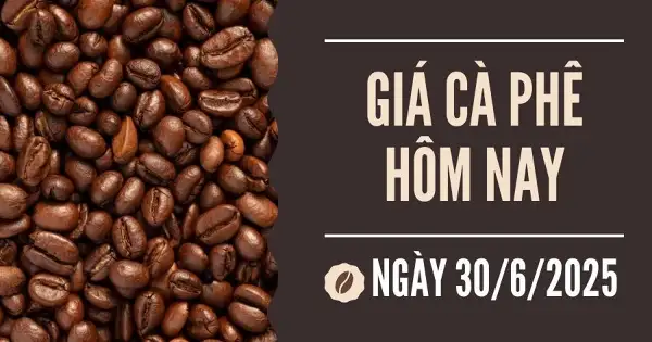 Giá cà phê hôm nay 30/6: Tiếp tục tăng nhẹ 300 đồng/kg ngày đầu tuần