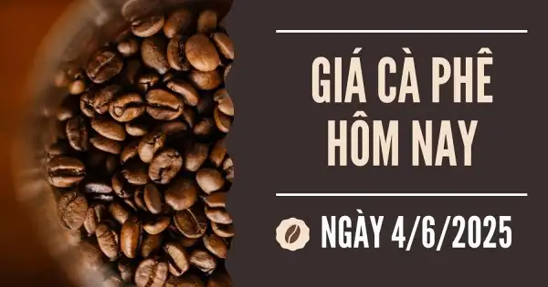Giá cà phê hôm nay 4/6: Robusta chạm đáy 7 tháng do nguồn cung dồi dào