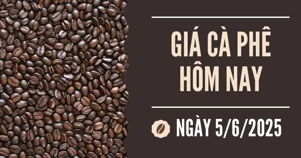Giá cà phê hôm nay 5/6: Đồng loạt tăng trở lại do đồng Real mạnh lên