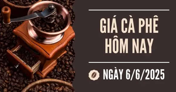 Giá cà phê hôm nay 6/6: Tiếp tục tăng, thị trường nội địa lên gần 116.000 đồng/kg