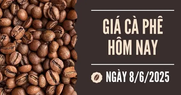 Giá cà phê hôm nay 8/6: Giảm tuần thứ 6 liên tiếp, thị trường chưa có dấu hiệu phục hồi