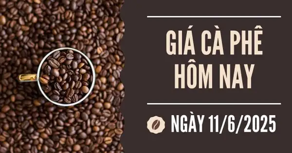 Giá cà phê hôm nay 11/6: Vụ thu hoạch của Brazil tiếp tục gây sức ép giảm giá lên thị trường