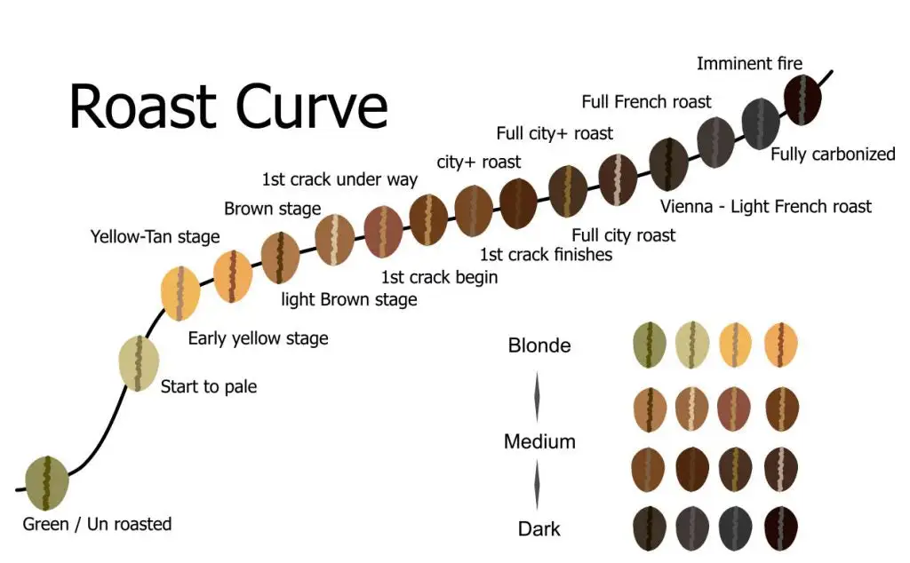 Kauai Coffee Roasting Guide
