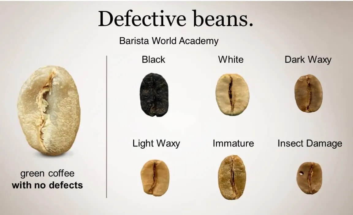 Defected Coffee Beans | Segafredo Zanetti New Zealand