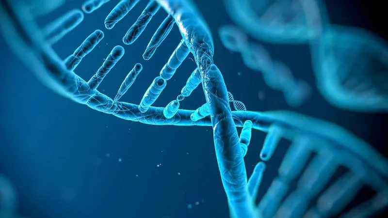 Cà phê nguyên chất giảm thiểu mức độ phân mảnh của chuỗi DNA