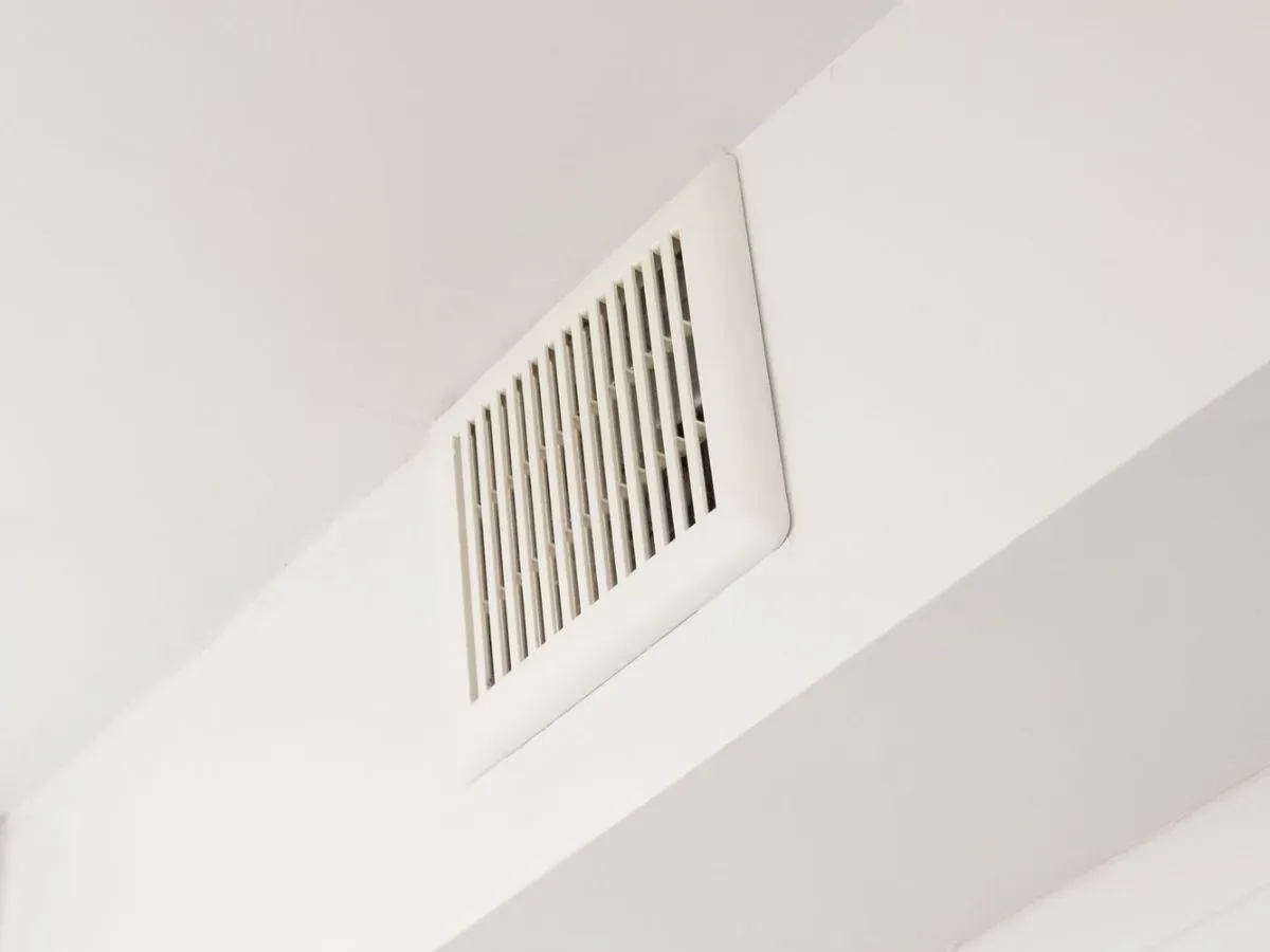 Biểu đồ mô tả mối liên hệ giữa caffeine và chu kỳ rụng trứng