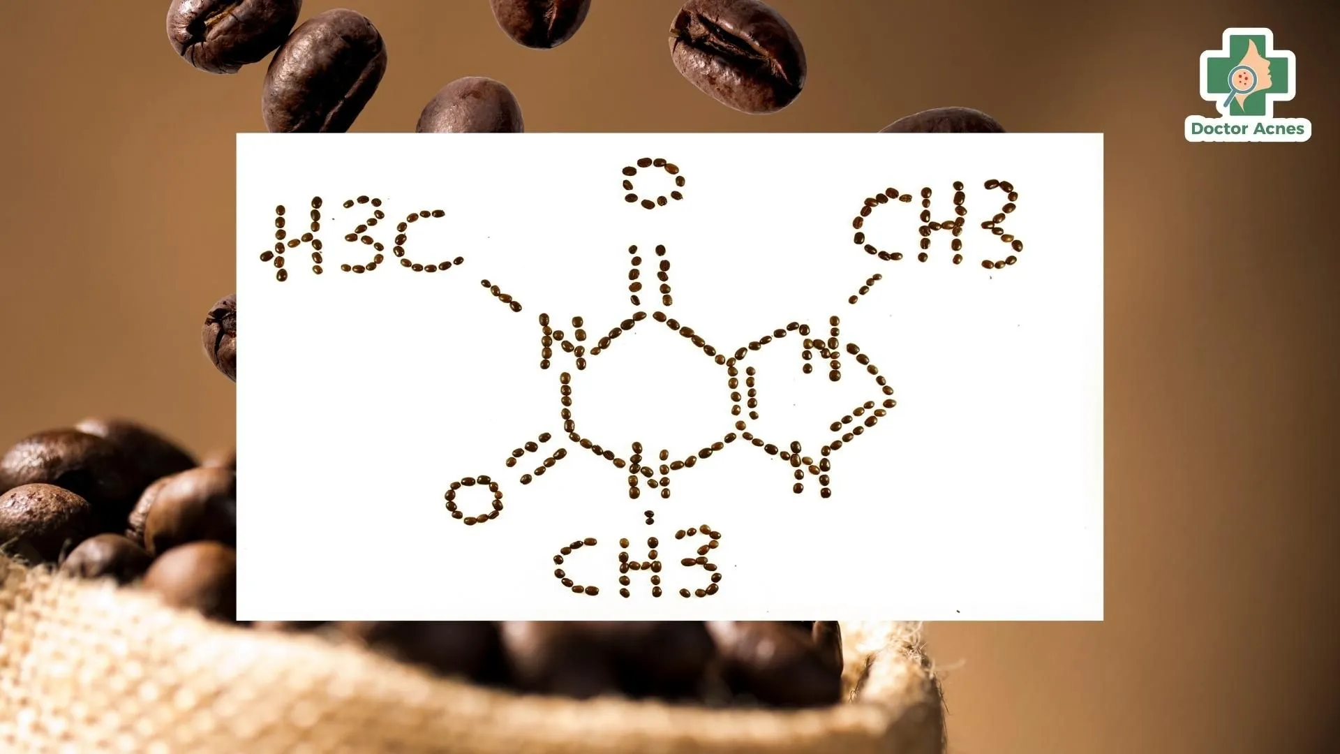 Caffeine (1,3,7-trimethylxanthine) là một dẫn xuất của methylxanthine, có tác dụng như một chất đối kháng thụ thể insulin