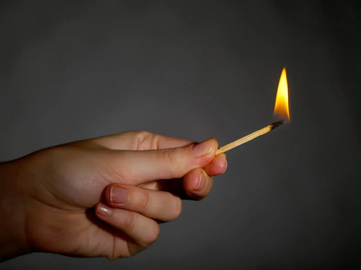 Minh họa sự trao đổi chất của caffeine và các chất chống oxy hóa