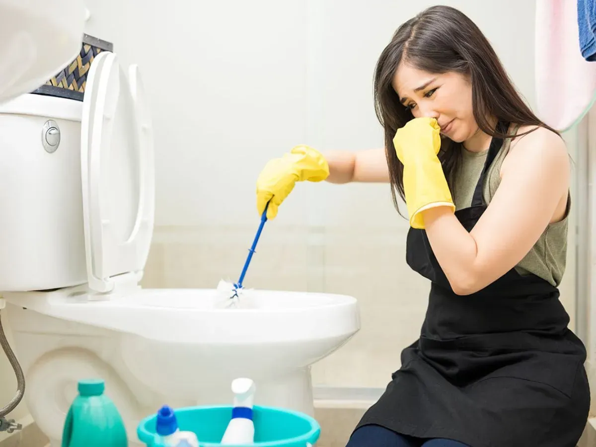 Phân tích cơ chế hormone sinh sản trong cơ thể người phụ nữ