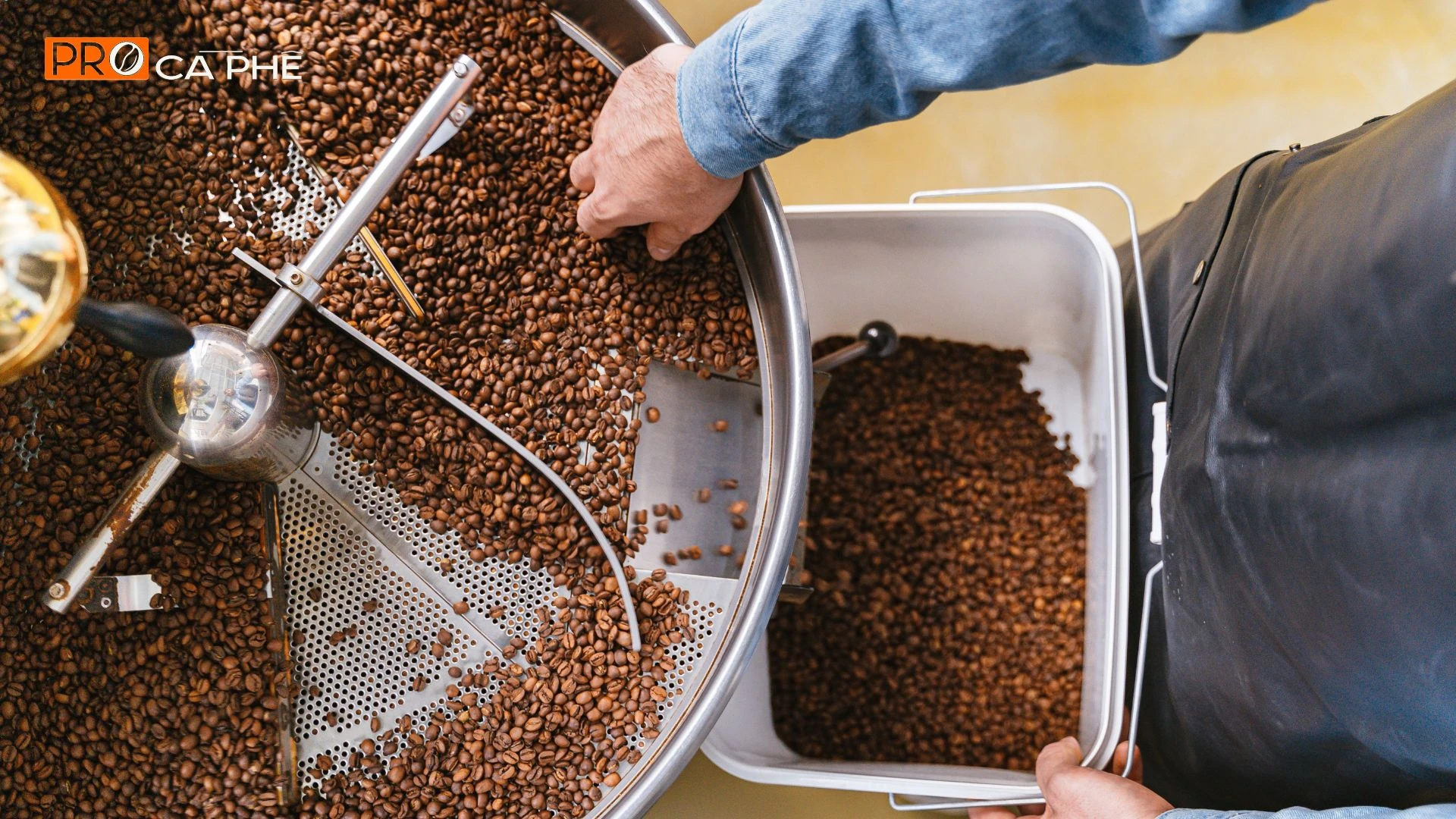 Cà phê rang xay Arabica Cầu Đất – lựa chọn cho tín đồ Single Origin
