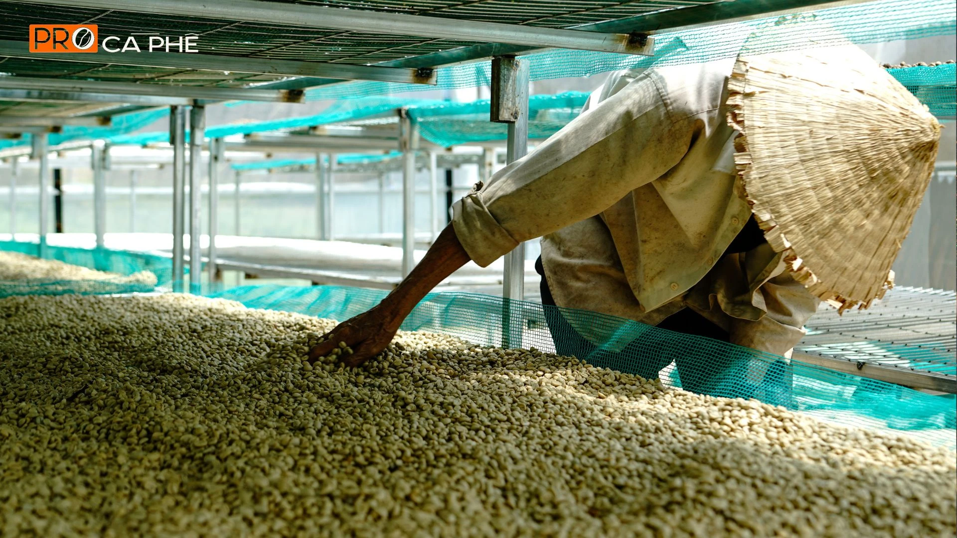 Arabica Cầu Đất được tuyển chọn và rang mộc để giữ hương vị nguyên bản