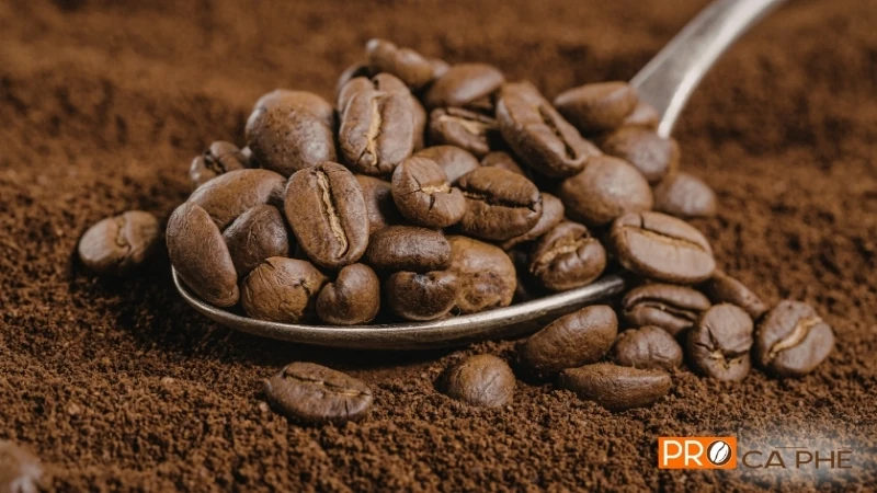 Cà phê Arabica là dòng hạt được ưa chuộng nhất trên thế giới