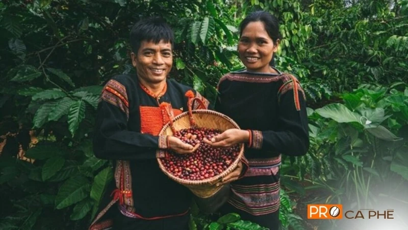 Trong giai đoạn 1912-1914, cây cà phê (đặc biệt là giống Arabica - cà phê chè) đã ghi dấu ấn mạnh mẽ tại Đắk Lắk.