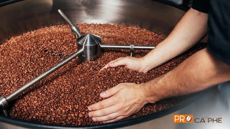Hạt cà phê rang tươi là một “món quà” dành cho cả vị giác lẫn sức khỏe của bạn.