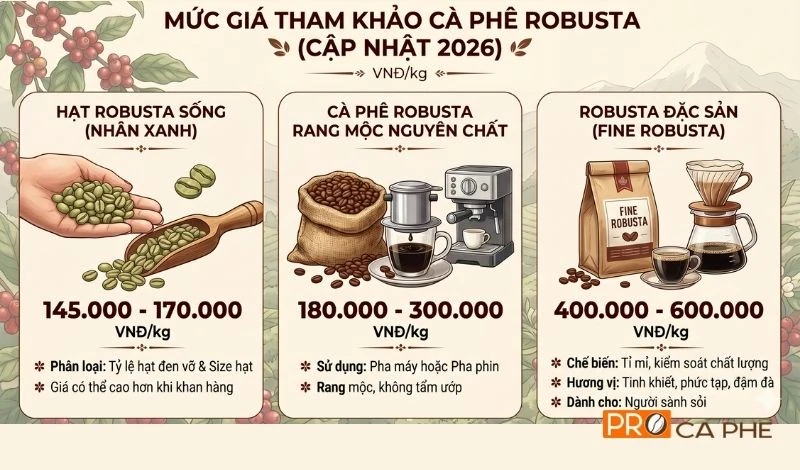 Cập nhật bảng giá tham khảo cà phê Robusta mới nhất năm 2026