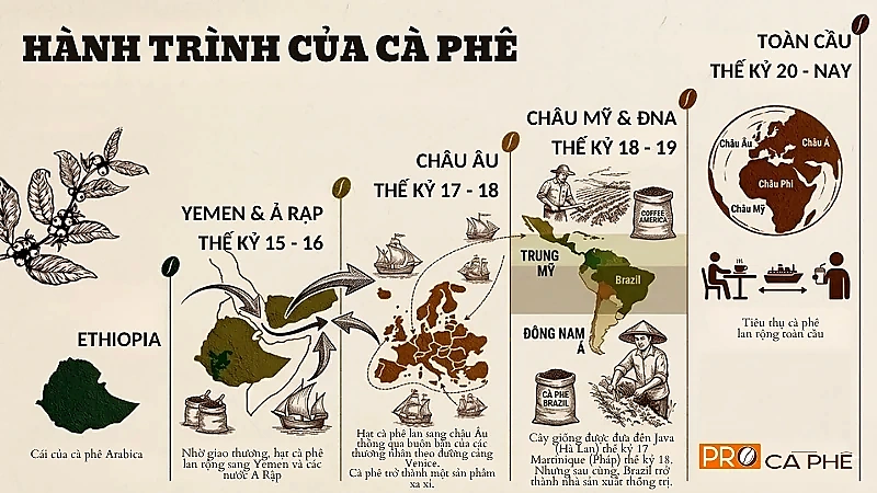 Nguồn gốc hạt cà phê Arabica