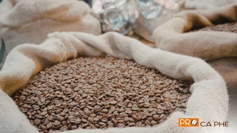 ProCaPhe - Thương hiệu cung cấp cà phê rang tươi nguyên chất hàng đầu